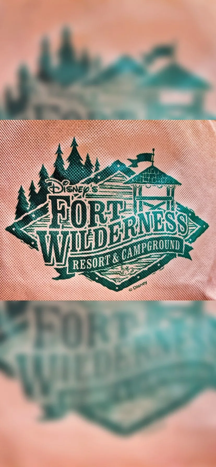 Disney's Fort Wilderness Resort and Campground logo