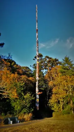 Worlds Tallest Totempole Beacon Hill Park Victoria BC 2