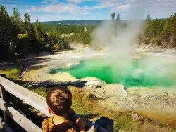 LittleMan at Emerald Spring Norris Yellowstone 1