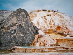 Mammoth Terrace Yellowstone