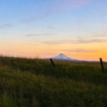 Mt Hood at Sunset from High Prairie Washington