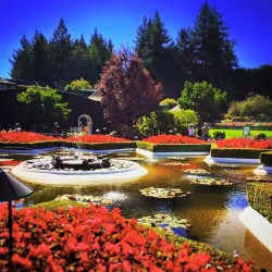 Butchart Italianate Gardens