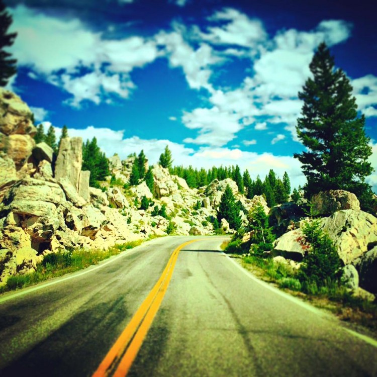 The Best Picnic Spots in Yellowstone National Park