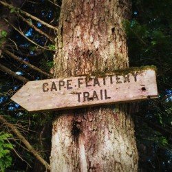 Cape Flattery Trail Sign thumb