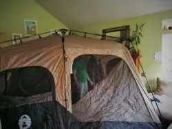 Coleman Tent in Living Room Camping practice