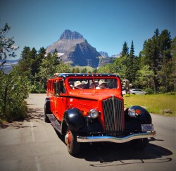 Glacier National Park Tour Bus 2