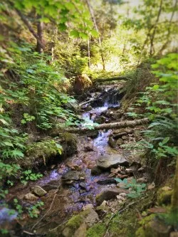 Little Smith Creek Kooskia Idaho