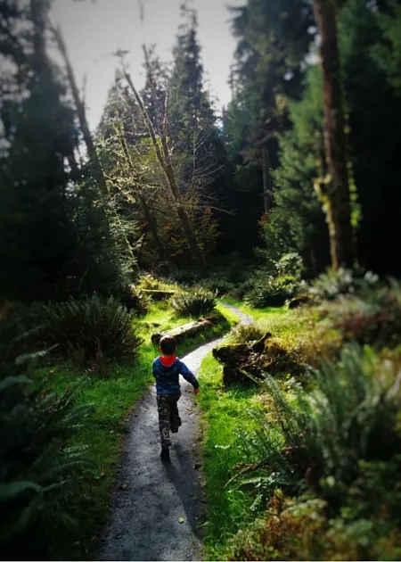 LittleMan Hiking at Hoh Rain Forest in Olympic National Park 2traveldads.com