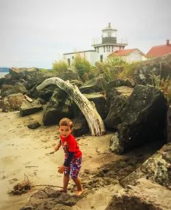 LittleMan Point No Point Lighthouse Beach with Driftwood
