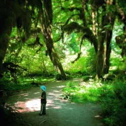 LittleMan at Hoh Rainforest Olympic National Park