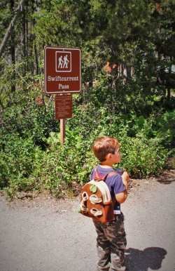 LittleMan hiking Swiftcurrent Pass trail Glacier National Park