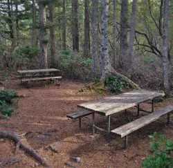 Picnic Tables Cape Flattery Trail Olympic Peninsula