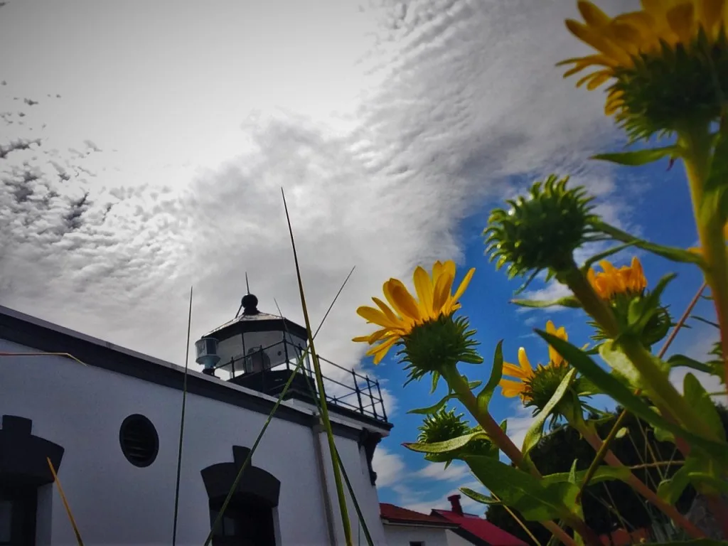 Point No Point Lighthouse 1