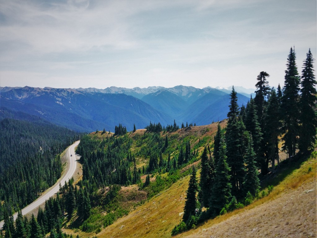 Road to Hurricane Ridge 1