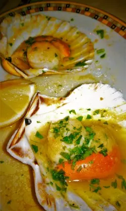 Scallops in Venice 1