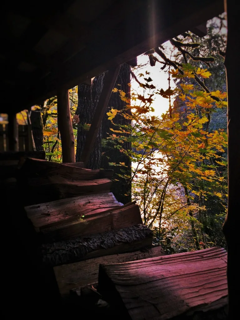 Sol Duc River with Chopped Wood 1