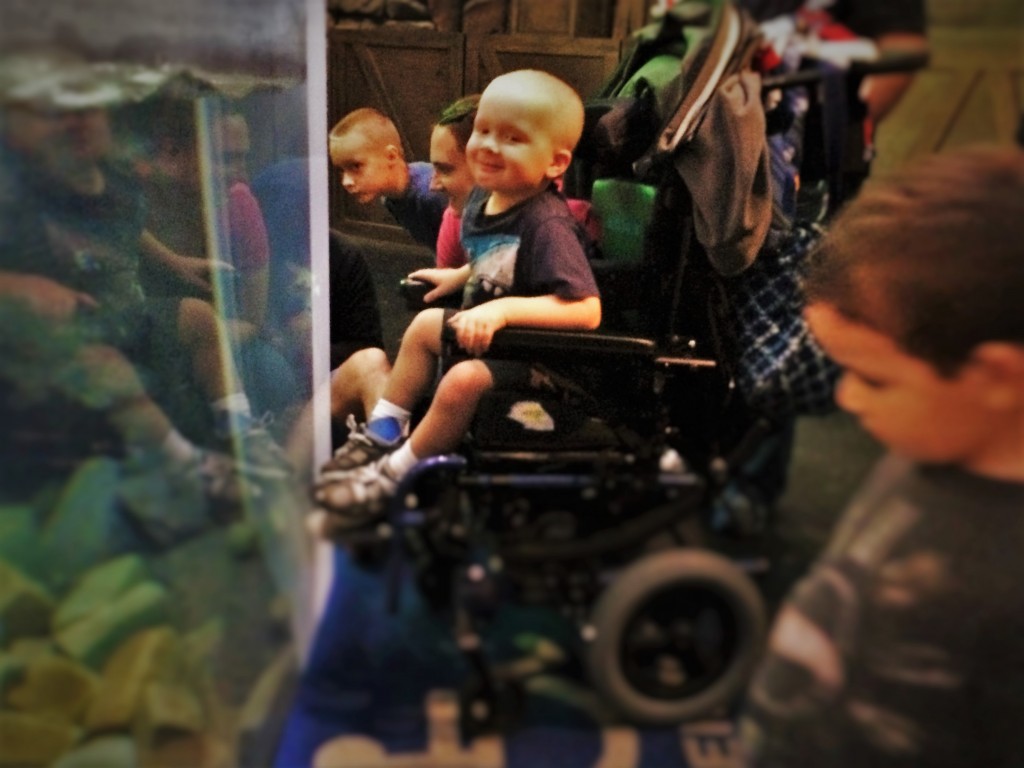 The Aquarium a complete experience