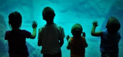 Kids at Georgia Aquarium Wall 2 header
