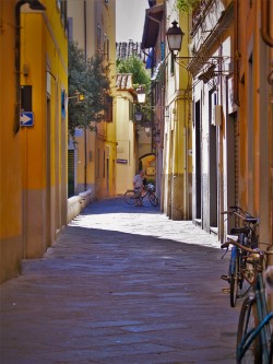 Narrow Street in Pisa 1