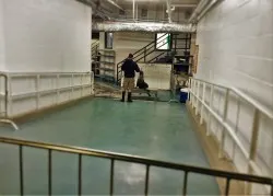 Sea Lion Training Behind the Scenes Georgia Aquarium 1