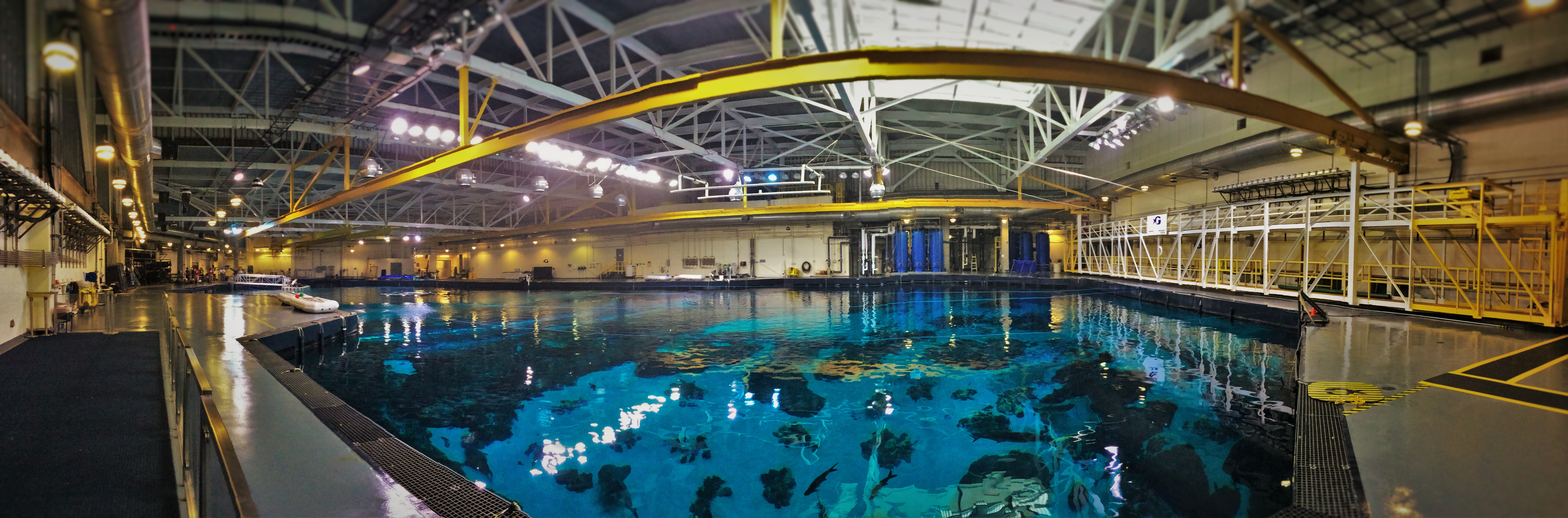 Georgia Aquarium Whale Shark Tank