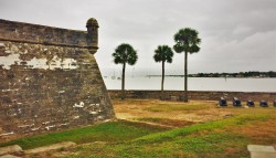 Castillo San Marcos St Augustine with palms 1