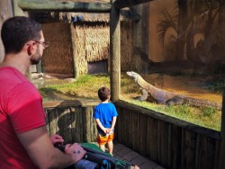 Chris Taylor and Dudes with Komodo Dragon at St Augustine Alligator Farm 1