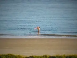 Chris Taylor and LittleMan on Beach at King and Prince Resort St Simons GA 2 (2)