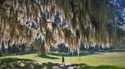 LittleMan and Spanish Moss at Fort Frederica 2traveldads.com