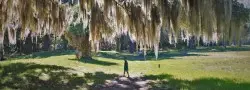 LittleMan and Spanish Moss at Fort Frederica Natl Monument St Simons GA 1