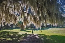 LittleMan and Spanish Moss at Fort Frederica Natl Monument St Simons GA 1