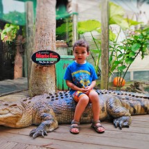 LittleMan on Alligator at St Augustine Alligator Farm 1