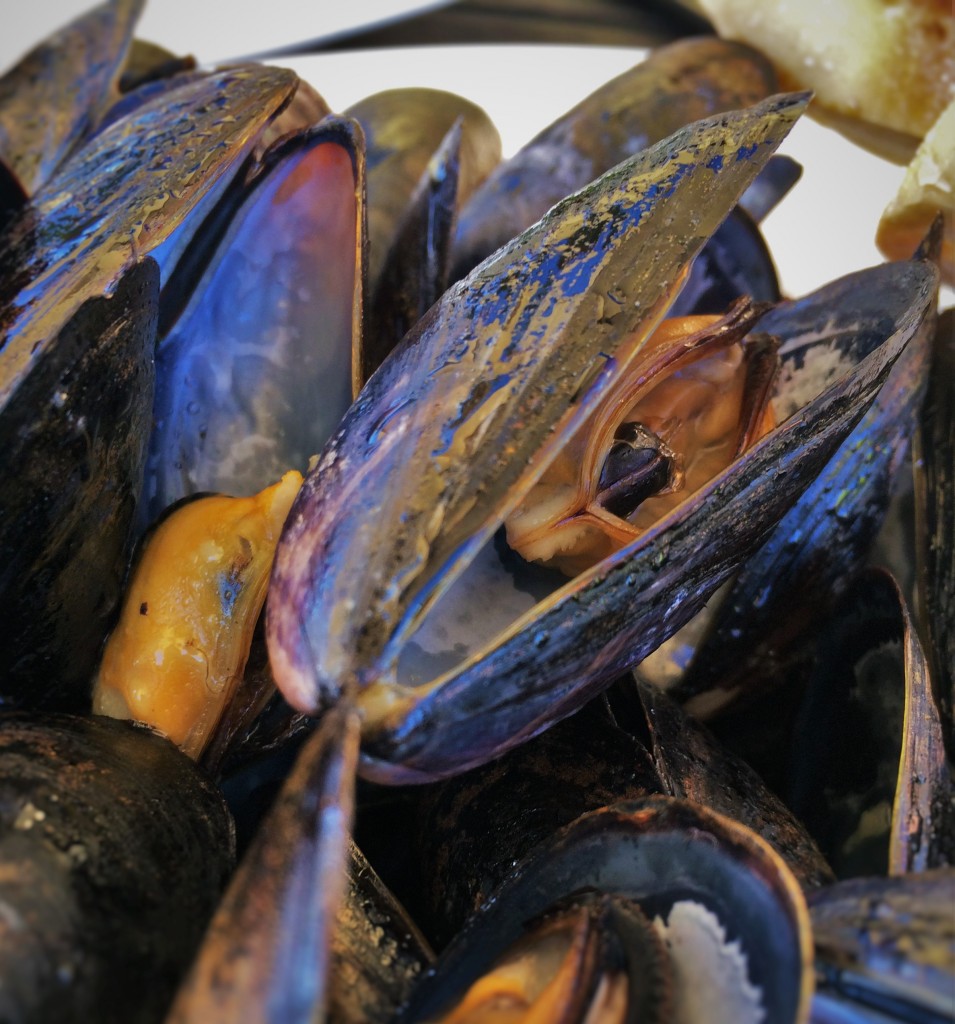Mussels at Echo Restarant at King and Prince Resort St Simons GA 1