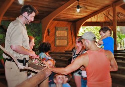 Trainer with Python and Rob Taylor at St Augustine Alligator Farm 1