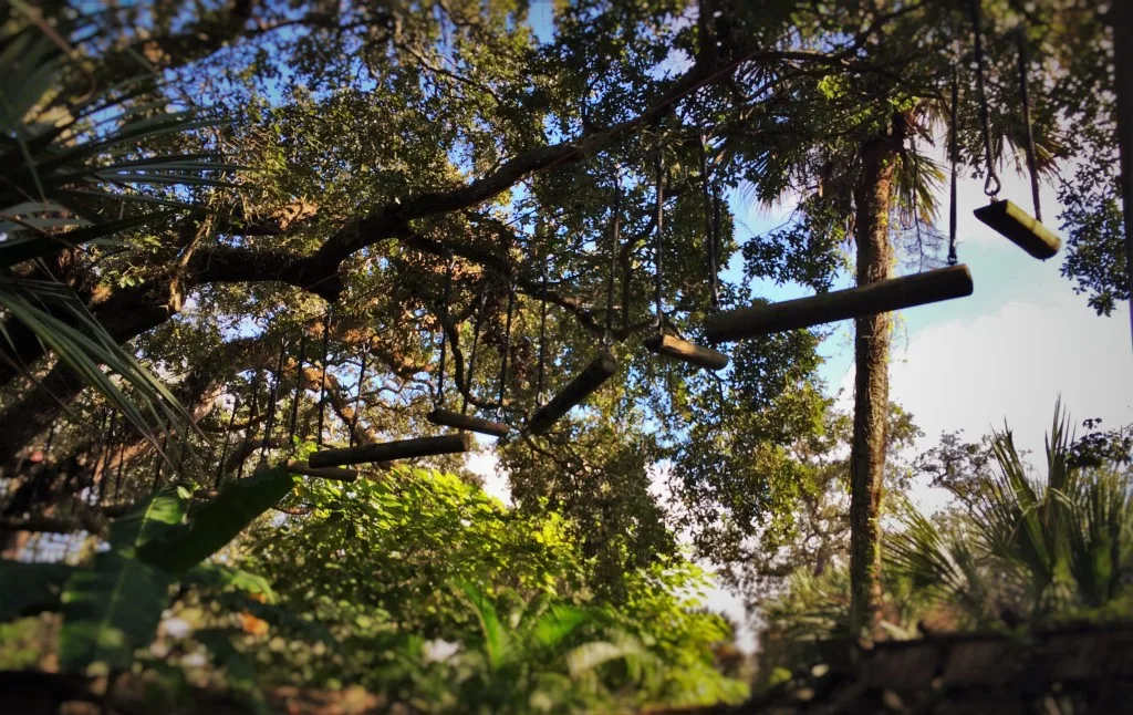 Zip Line Course at St Augustine Alligator Farm