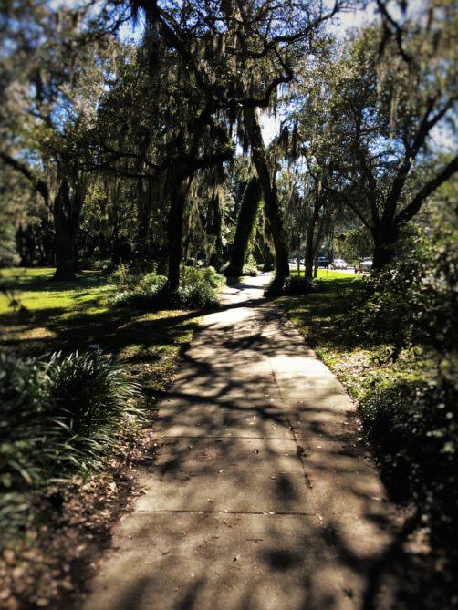 Biking St Simons Island the best idea in the South