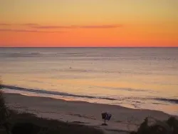 Dolphin in Surf at Sunrise at King and Prince Resort St Simons GA