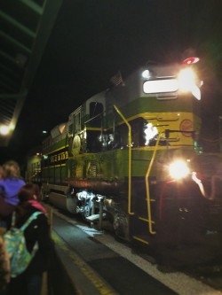Locomotive Train in Stone Mountain Park in Atlanta Georgia 3