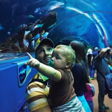 Rob Taylor and TinyMan in Shark Tunnel Georgia Aquarium