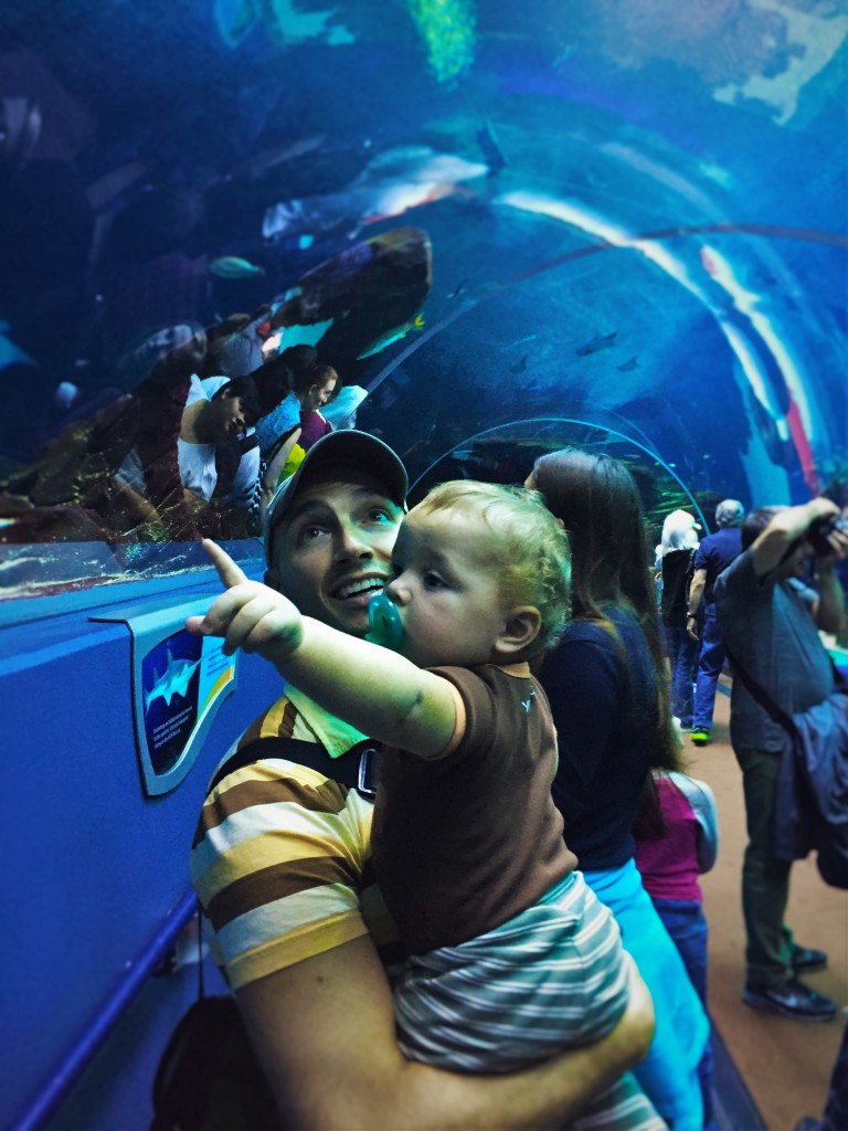 Rob Taylor and TinyMan in Shark Tunnel Georgia Aquarium
