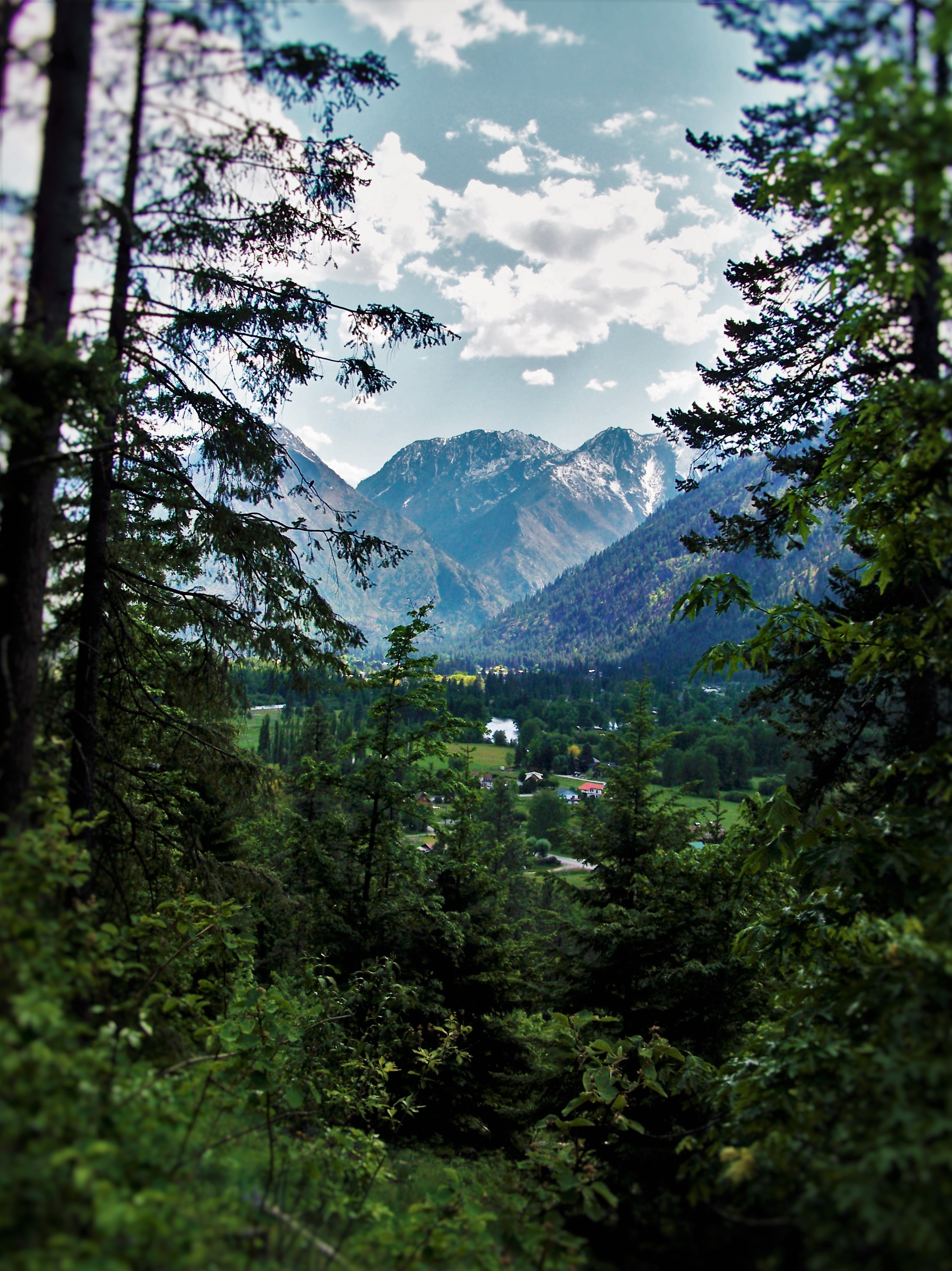 Cascade Mountains from Mountain Home Trail in Leavenworth WA 1