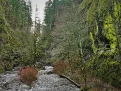 Flooding Creek at Oneonta Gorge Columbia Gorge Oregon