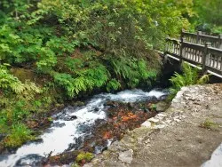 Foot Bridge at Wahkeena Falls Waterfall Area Columbia Gorge Oregon 1