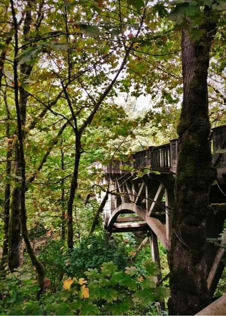 Highway 30 bridge at Latourell Falls Columbia Gorge Waterfall Area Oregon