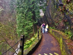 Hiking Trail at Multnomah Falls Columbia Gorge Oregon