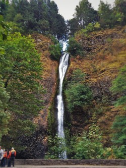 Horsetail Falls Waterfall Area Columbia Gorge Oregon 5