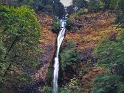 Horsetail Falls Waterfall Area Columbia Gorge Oregon 6
