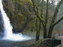 Horsetail Falls Waterfall Area Oregon 2