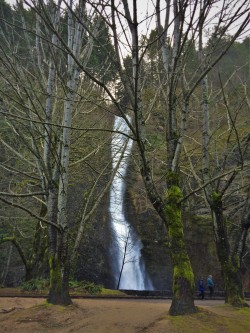 Horsetail Falls Waterfall Area Oregon 3