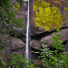 Latourell Falls Columbia Gorge Waterfall Area Oregon